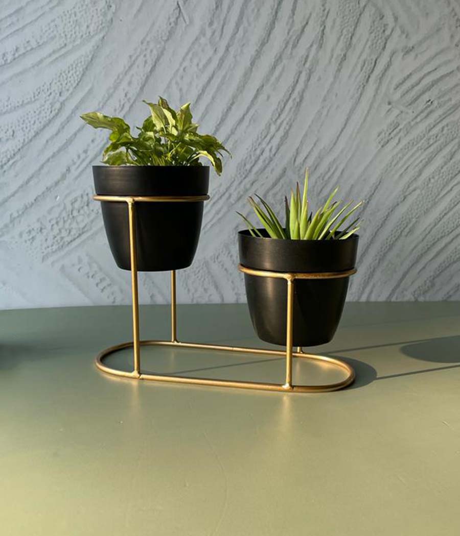 2-Tier Metal Planter Stand with Black Pots