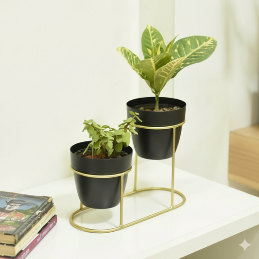 2-Tier Metal Planter Stand with Black Pots