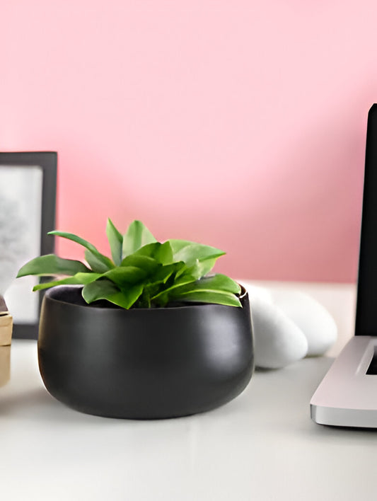Sleek Black Planter with Vibrant Greenery – Modern Home & Office Accent