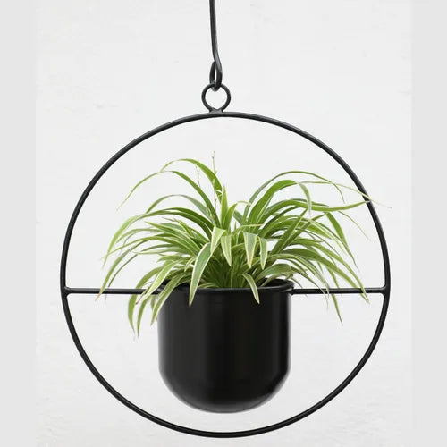 Metal Circular Hanging Planter